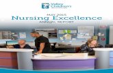 Nursing Excellence May 2015
