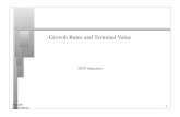 Growth Rates and Terminal Value