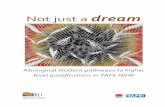 Not Just a Dream - Aboriginal student pathways to higher level ...