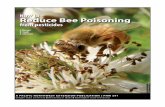 How to Reduce Bee Poisoning from Pesticides