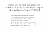 Upper ocean heat budget in the southeast Pacific stratus cloud region