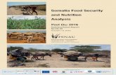 Somalia Food Security and Nutrition Analysis