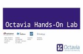Octavia Hands-On Lab