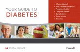 Your Guide to Diabetes