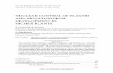 nuclear control of plastid and mitochondrial development in higher ...