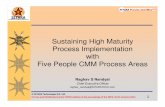 Sustaining High Maturity Process Implementation with Five People ...