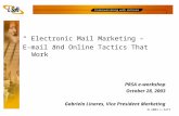 Electronic Mail Marketing - E-Mail and Online Tactics that Work