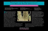 Biology and Management of Beech Bark Disease