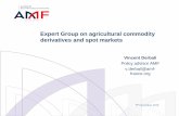 Expert Group on agricultural commodity derivatives and spot ...
