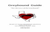 Greyhound Guide