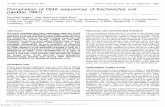 Compilation of DNA sequences of Escherichia coli (update 1991)
