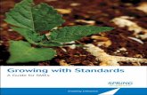 Growing with Standards - A Guide for SMEs