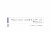 Observations on BGP & OSPF CPU Utilisation