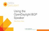 Using the OpenDaylight BGP Speaker