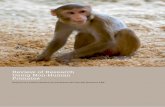 Review of Research Using Non-Human Primates, report of a panel ...