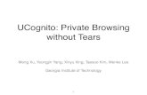 UCognito: Private Browsing without Tears