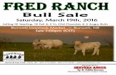 Fred Ranch Bull Sale Catalog