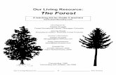 Our Living Resource: The Forest
