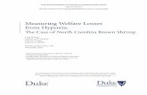 Measuring Welfare Losses from Hypoxia: The Case of North ...