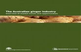 The Australian ginger industry - Overview of market trends and ...