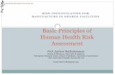 Basic Principles of Human Health Risk Assessment