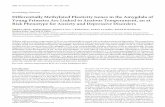 Differentially Methylated Plasticity Genes in the Amygdala of Young ...
