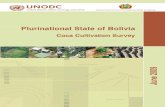 6/19/09 - Bolivia coca cultivation survey - June 2009