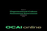 OCAI Enterprise example report