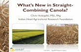What's New in Straight- Combining Canola?