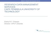 research data management services cape peninsula university of ...