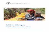 FAO in Ethiopia - El Niño Response Plan 2016