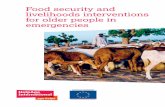 Food security and livelihoods interventions for older people in ...