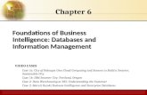 FOUNDATIONS OF BUSINESS INTELLIGENCE: DATABASES AND ...