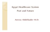Egypt Healthcare System Past And Future - Pathology