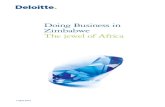 Doing Business in Zimbabwe - March 2013 amendments.indd