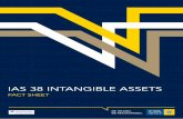 IAS 38 Intangible Assets This fact sheet is