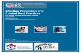 Infection Prevention and Control best Practices for Small Animal ...