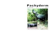 Pachyderm 29: July-December 2000