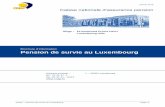 Pension de survie au Luxembourg