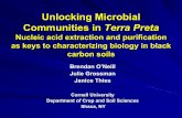 Unlocking Microbial Communities in Terra preta Nucleic acid ...