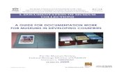 Documentation of Museum Collections: Why? How? Practical Guide