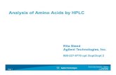 Analysis of Amino Acids by HPLC