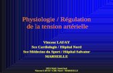 Physiologie / Régulation de la tension artérielle