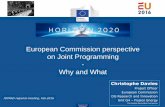 European Commission perspective on Joint Programming - Why ...
