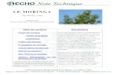 LE MORINGA - Moringa oleifera