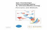 Ion Exchange Chromatography & Chromatofocusing