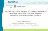 DSD-INT 2016 Modeling invasive species in river systems_ interaction with native ecosystem engineers and effects on meander morphodynamics - Van Oorschot