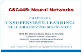 Neural Networks:  Self-Organizing Maps (SOM)