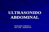 Ultrasonido Abdominal (Dr. Eduardo Sampson Z.-VIDA CARE)