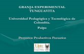 GRANJA EXPERIMENTAL TUNGUAVITA Universidad Pedagógica ...